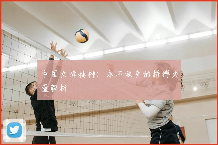 中国女排精神:永不放弃的拼搏力量解析