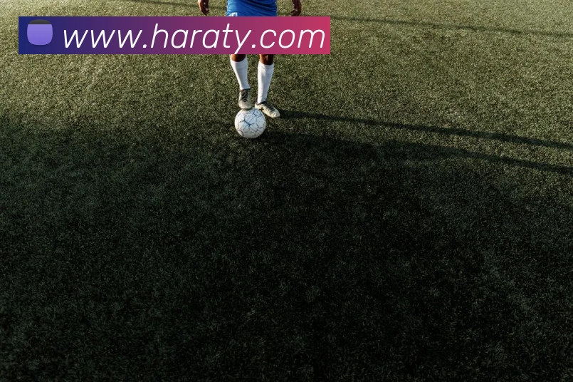 奖项4